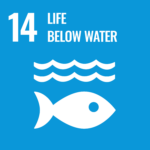 SDG goal 14 Life below water