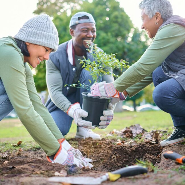 Group of friends on a team building tree planting activity