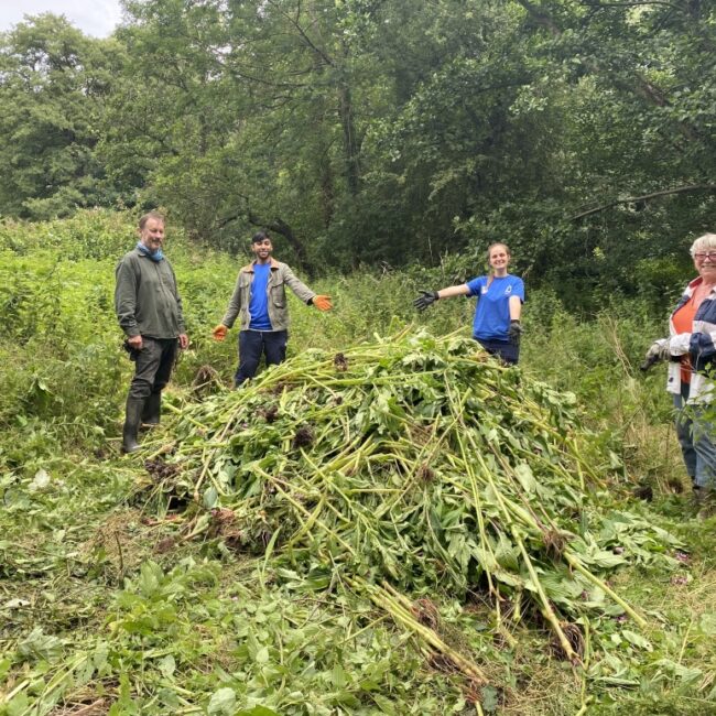 Happy team removing invasive species